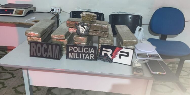 Polícia Militar apreende 17 kg de maconha durante ação em Arapiraca