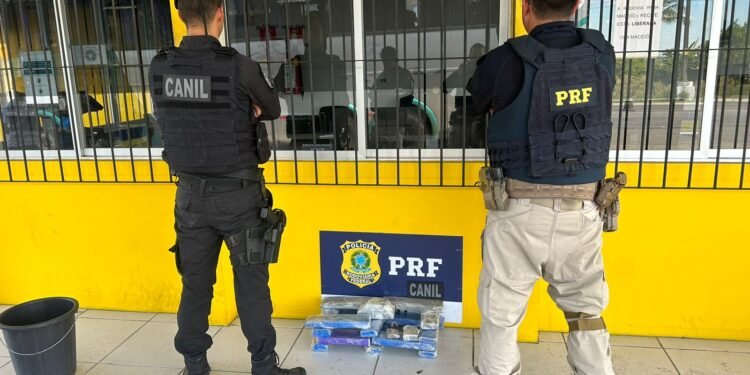 Polícia apreende cerca de 12kg de maconha em São Sebastião
