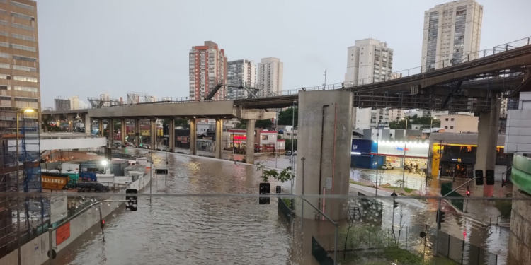 Temporal com rajadas de vento provoca alagamentos e quedas de árvores em SP
