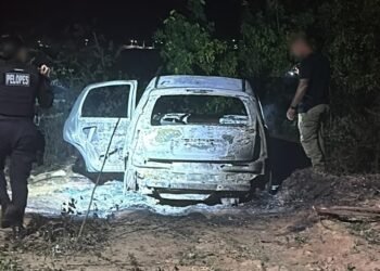 Veículo carbonizado é encontrado por equipes da SMTT em Delmiro Gouveia; suspeita de crime está sendo investigada